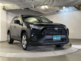 RAV4 2.0 X 