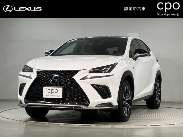 NX 300h Fスポーツ 