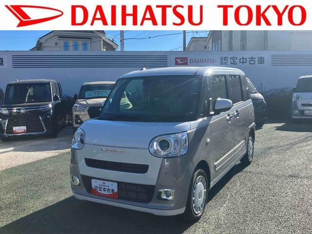 ムーヴキャンバス  ストライプス G