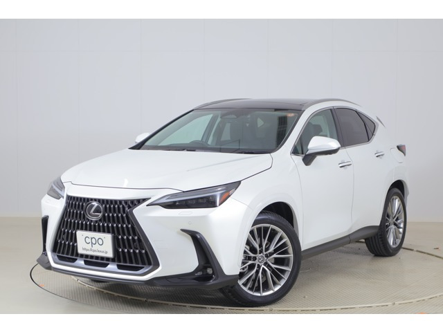 NX 250 バージョンL NX 250 バージョンL