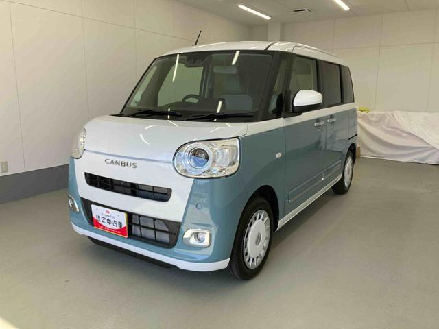 ムーヴキャンバス  ストライプス G