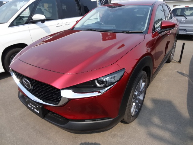 CX-30 2.0 20S プロアクティブ 4WD 