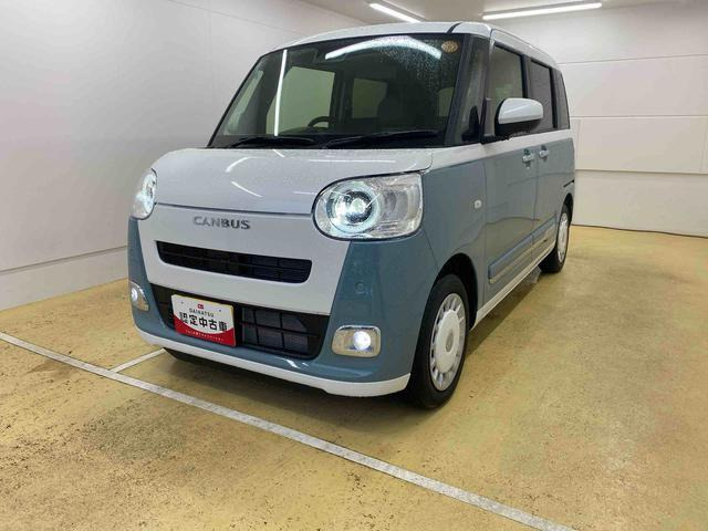 ムーヴキャンバス  ストライプス G