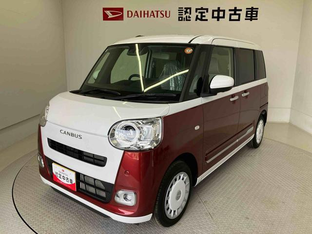 ムーヴキャンバス  ストライプス G