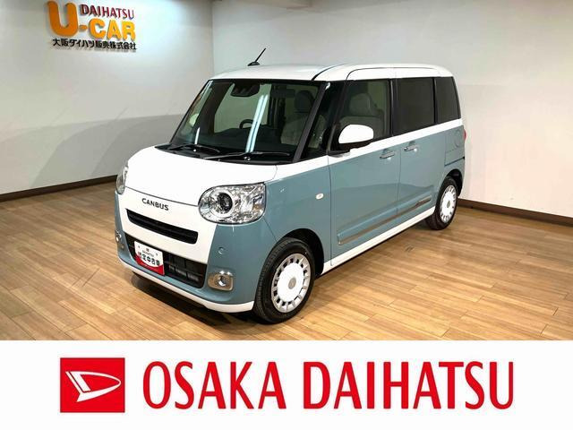 ムーヴキャンバス  ストライプス G