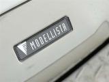 MODELLISTA製のスポイラーがさりげなく大胆に、煌びやかさを際立たせています。