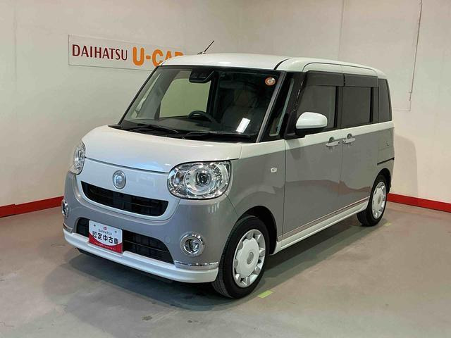 ムーヴキャンバス G メイクアップ VS SAIII 