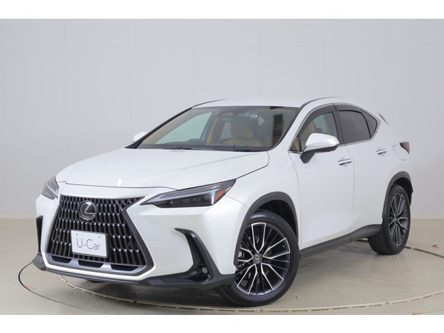 NX 250 バージョンL NX 250 バージョンL