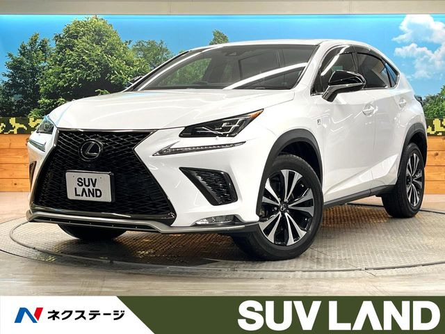 NX 300 Fスポーツ 