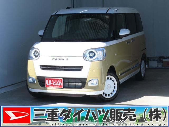 ムーヴキャンバス  ストライプス G