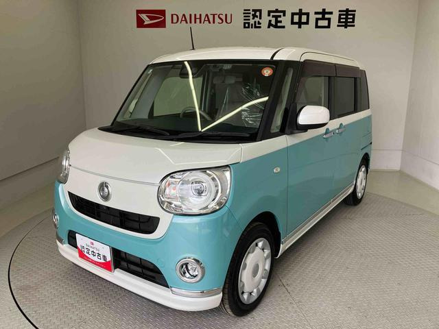 ムーヴキャンバス G メイクアップ リミテッド SAIII 