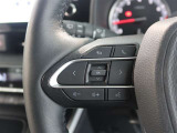 ステアリングスイッチ付き。前方から目を離すことなく操作することが可能です。