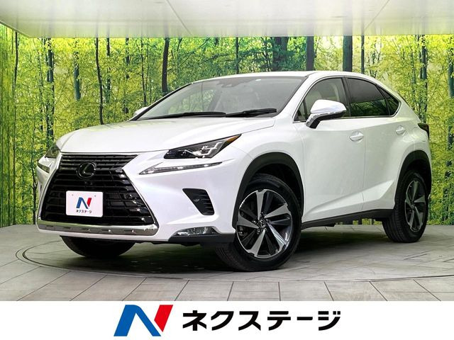 NX 200t Iパッケージ 