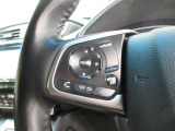 ハンドルにオーディオの操作スイッチが装備されています!視線を前方から外さずハンドルから手を離さずに操作できるのでとっても安全ですね♪