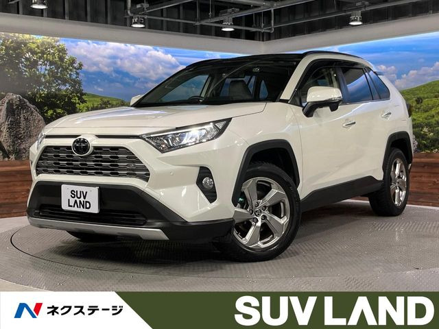 RAV4 2.0 G 4WD 
