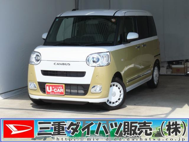 ムーヴキャンバス  ストライプス G