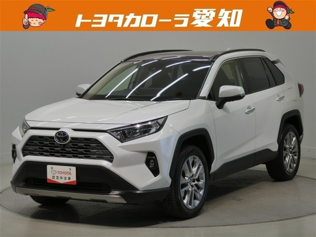 RAV4  2.0 G Zパッケージ 4WD