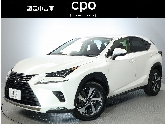 NX 300 Iパッケージ 