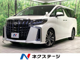 純正9型ディスプレイ 後席モニター バックカメラ 寒冷地仕様 100V