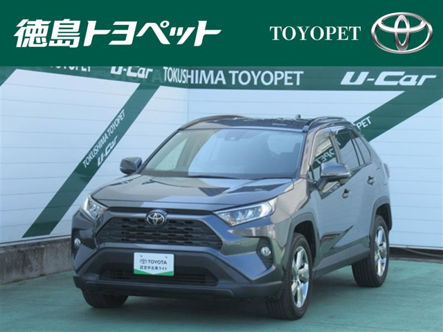 RAV4 2.0 X 