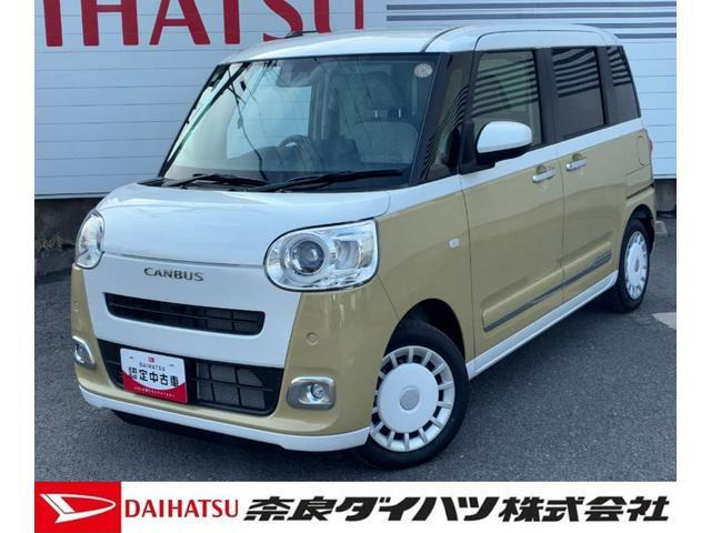 ムーヴキャンバス  ストライプス G