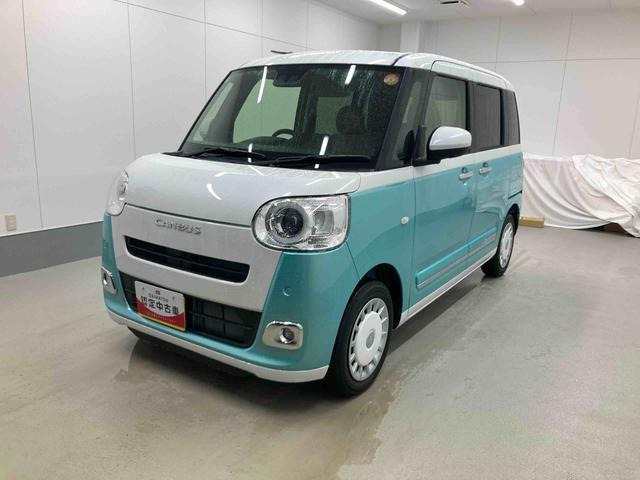 ムーヴキャンバス  ストライプス G