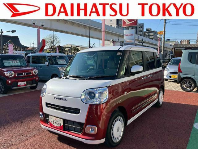 ムーヴキャンバス  ストライプス G