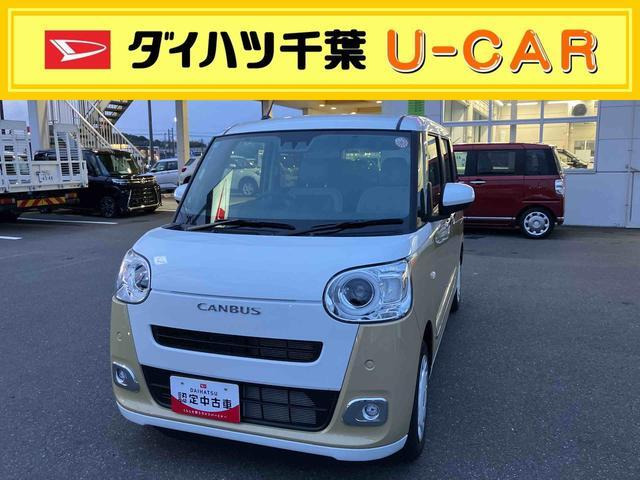 ムーヴキャンバス  ストライプス G