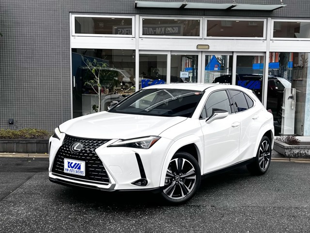 UX 250h バージョンL TRDエアロフェンダー/HUD/BSM