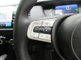 ハンドルにオーディオの操作スイッチが装備されています!視線を前方から外さずハンドルから手を離さずに操作できるのでとっても安全ですね♪