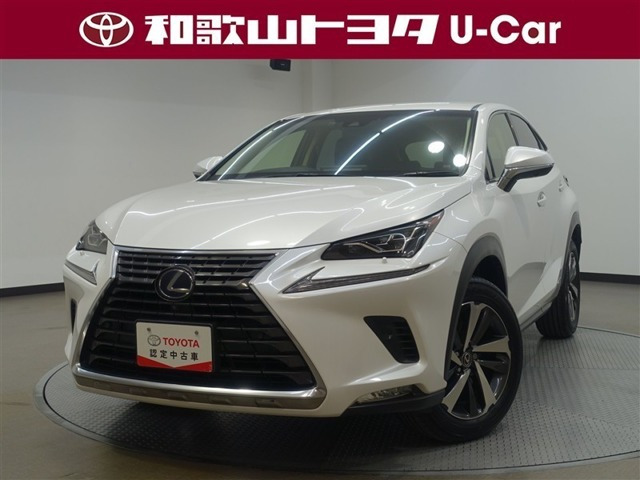 NX 300h バージョンL 