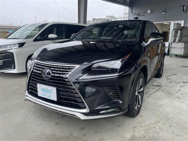 NX 300h スパイス&シック