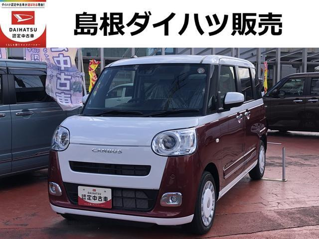 ムーヴキャンバス  ストライプス G