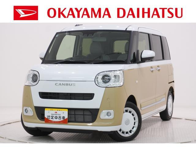 ムーヴキャンバス  ストライプス G