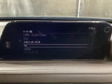 メーカーオプションTVチューナー付!
