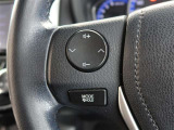 ステアリングスイッチ付き。前方から目を離すことなく操作することが可能です。