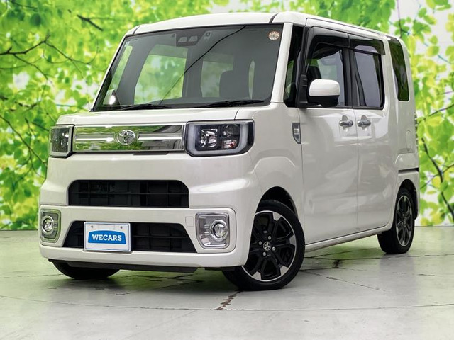 ピクシスメガGターボ レジャーエディション SAIII 4WD