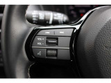 ハンドル左部分にはオーディオコントロールスイッチがついています。運転中も視線をそらさずにオーディオ操作ができ安心です!