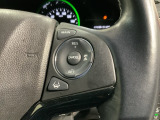 クルーズコントロールを装備しています。高速道路などで一定の速度で走ってくれるので運転が楽ですよ!速度を設定できますので、スピードの出しすぎにも注意できます。