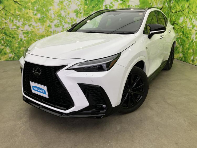 NX 350h Fスポーツ