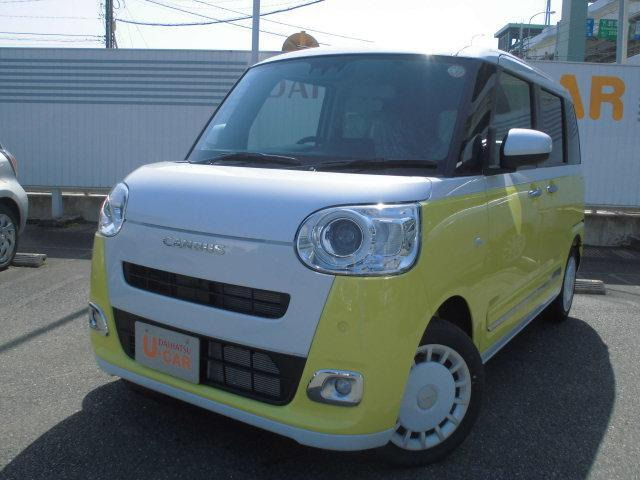 ムーヴキャンバス  ストライプス G