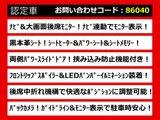 エルグランド 2.5 250ハイウェイスター 黒本革シート リアモニ 両自