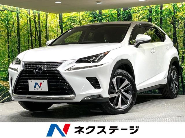NX 300h バージョンL 