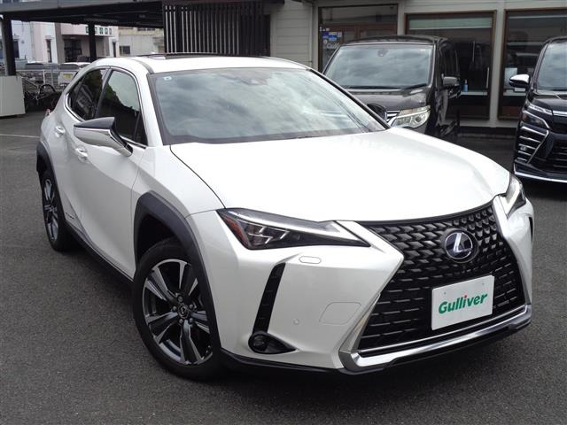 UX 300e バージョンL 本革シート サンルーフ