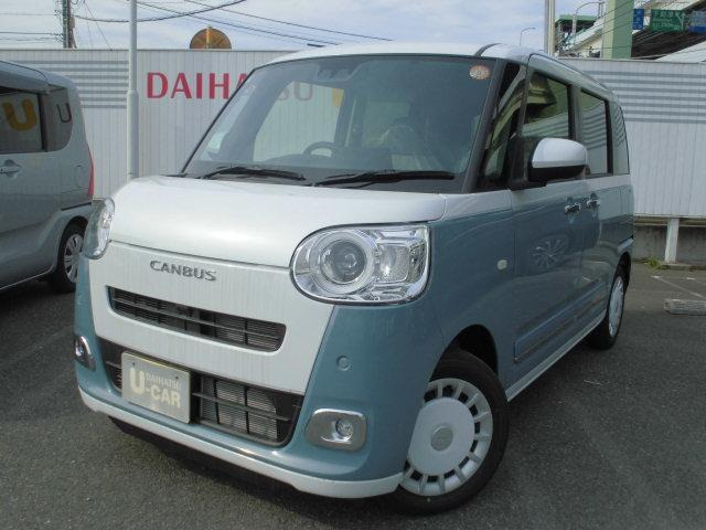 ムーヴキャンバス  ストライプス G