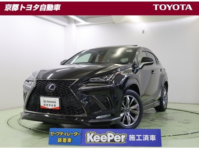 NX 300h Fスポーツ 