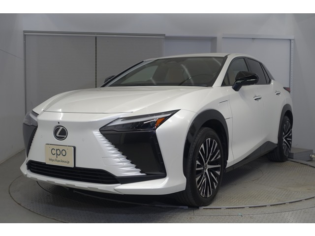 RZ 300e バージョンL 