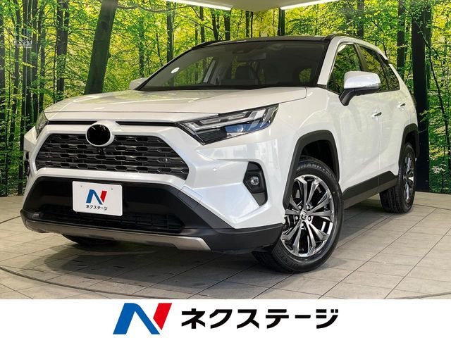 RAV4 2.5 ハイブリッド G E-Four 4WD （6AA-AXAH54）
