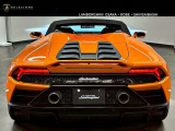 Arancio BorealisLifestyle Pack (Spyder)Narvi 20 Forged Shiny BlackOrange CaliperBlack Soft Top