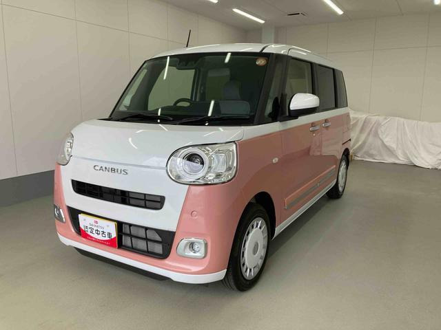 ムーヴキャンバス  ストライプス G